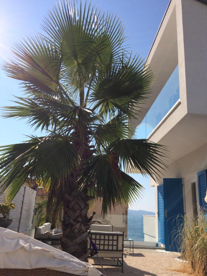 Seaside Villa With Private Pool Home By The Sea - Villa Trogir Eksteriør billede